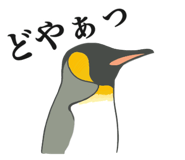 851611849