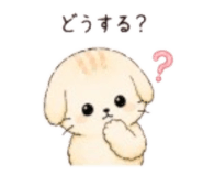 851620615