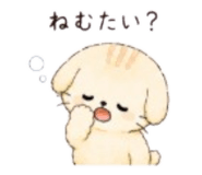 851620629