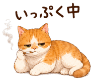 851620995