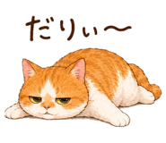 851621023