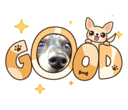 851624241