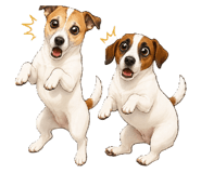 851626924