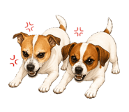 851626925