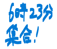 851629416