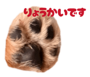 851630798