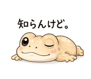 851631009