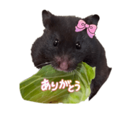 851631074