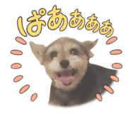 851631277