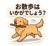 851631553
