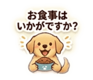 851631556