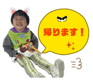851631955
