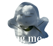 851635925