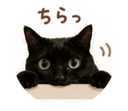 851636057