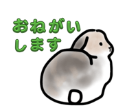 851636203