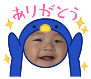 851636627