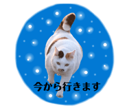 851638023