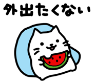 851639793