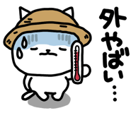 851639799