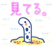 851640126