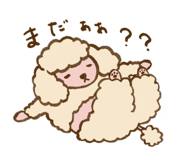 851643407