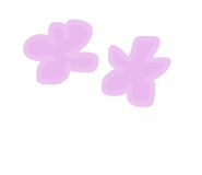 851644542