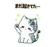 851645607