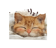 851647270