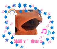 851647626