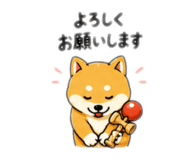 851647818