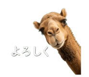 851648580