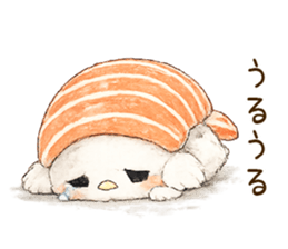 851650246