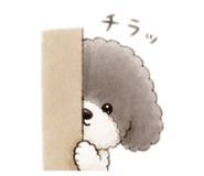 851652823