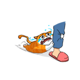 851654759