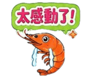 851655178