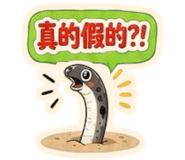 851655194