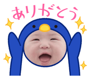 851656567