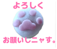 851656581