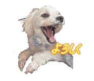 851656668