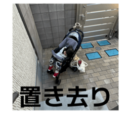 851657140