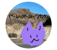 851657205