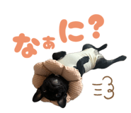 851657847