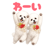 851657898