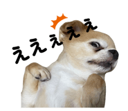 851658775