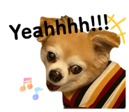 851658776