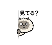 851660156