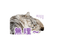 851660415