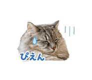 851660418