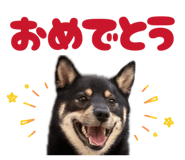851660432
