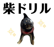 851660464